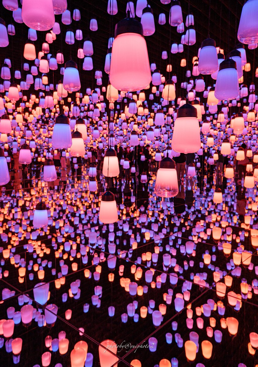 迷い込みたくなるランプの森