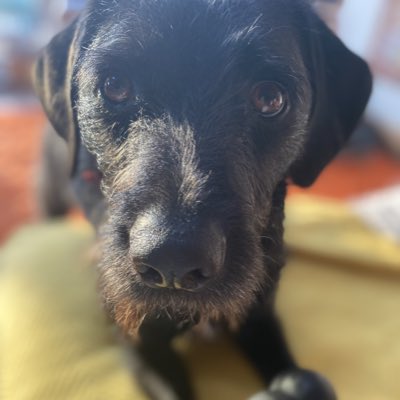 copmer's tweet photo. #NewProfilePic https://t.co/x1AqWzfwBV
