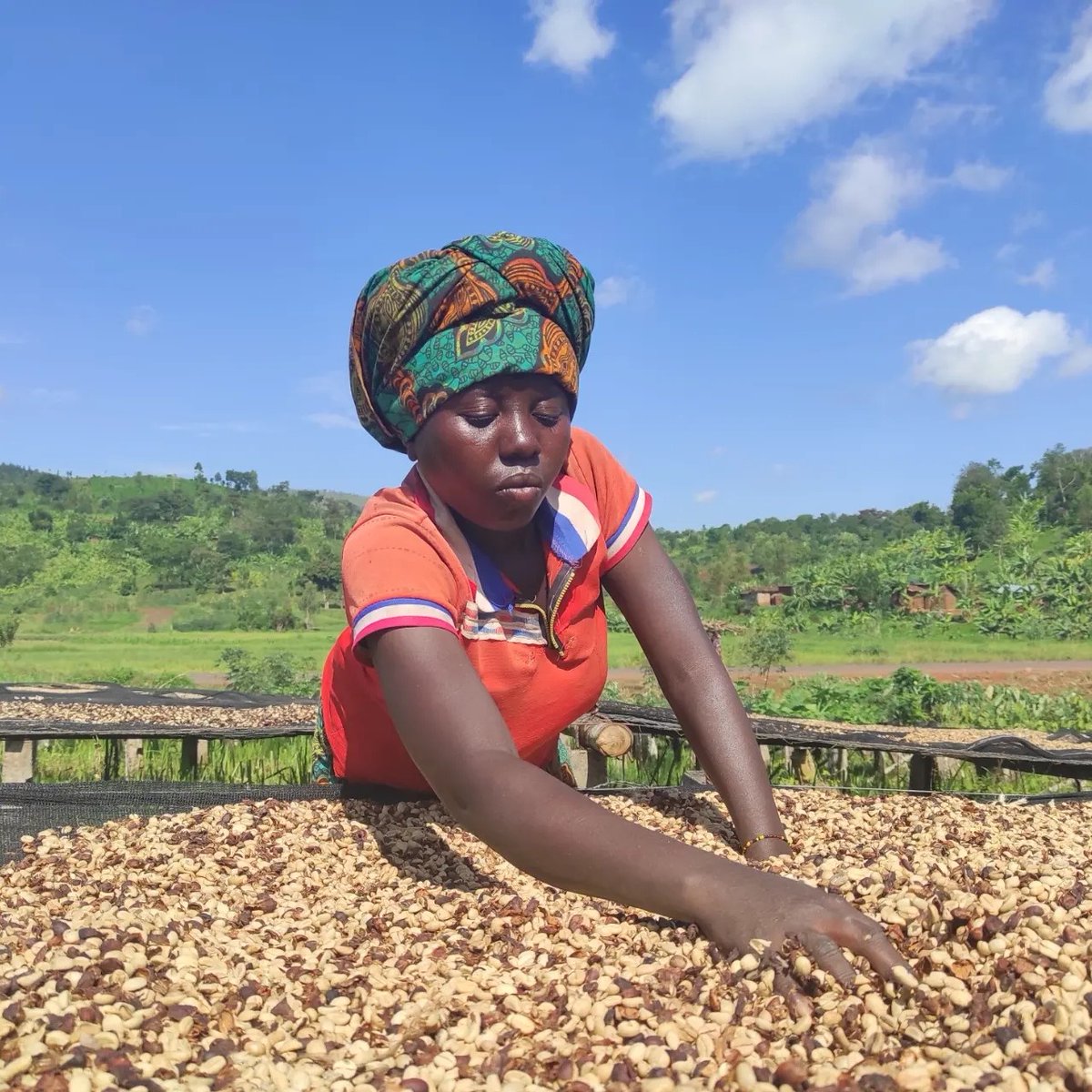 Trabocca tweet media