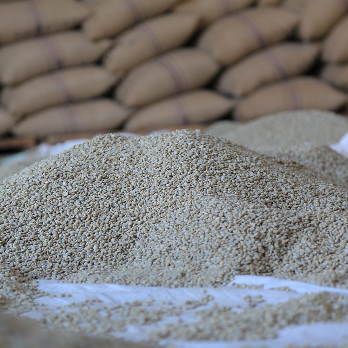 Trabocca tweet media