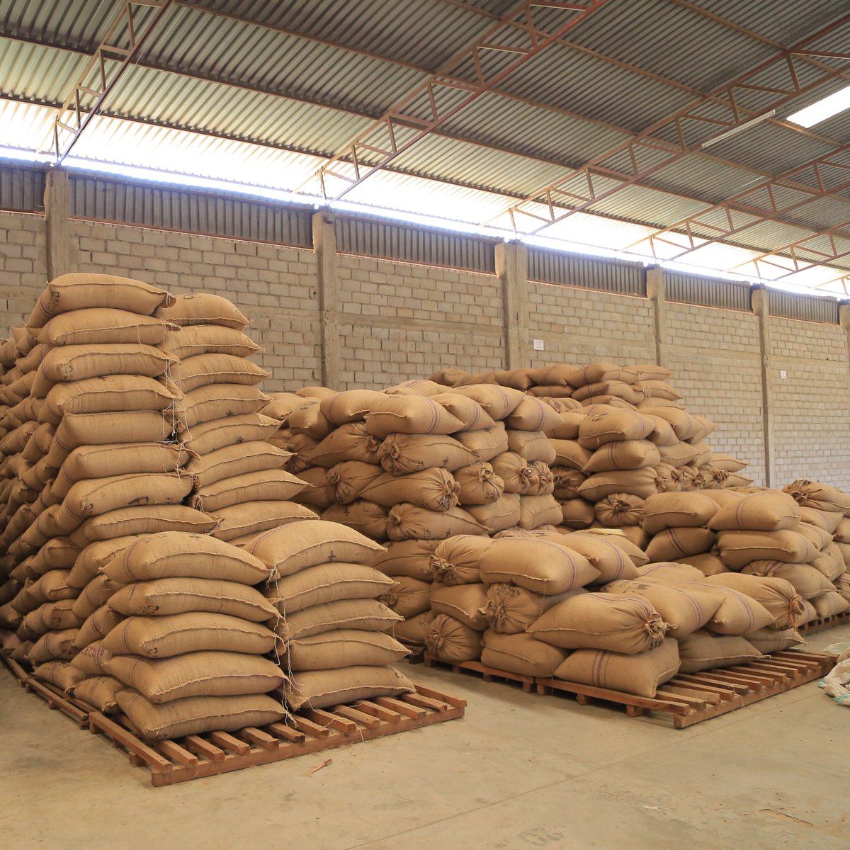 Trabocca tweet media