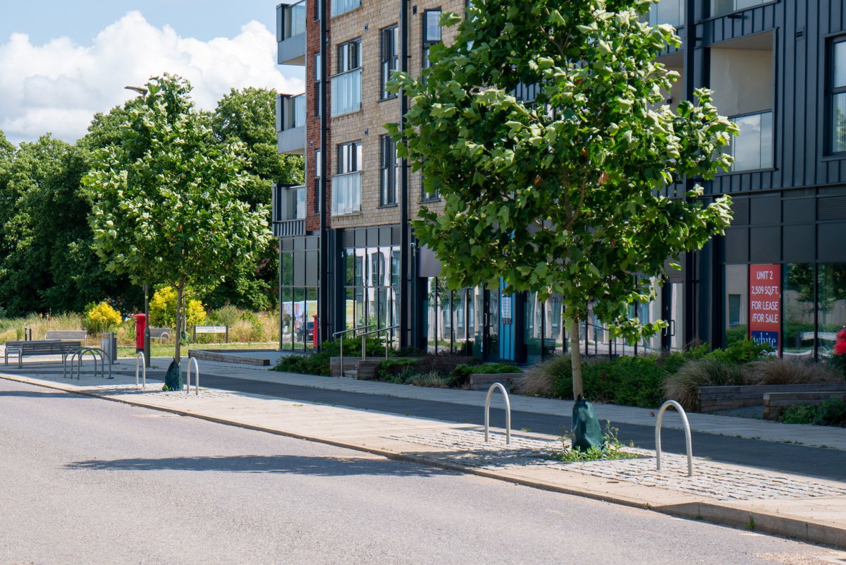 GreenBlueUrban's tweet image. On a recent photography trip to capture some of our #UrbanTreePlanting case studies, old and new, we visited Graven Hill, Bicester, and were thrilled to see this newly planted scheme thriving.

Read more: bit.ly/3Qf8Vyv

#UrbanTreePlanting