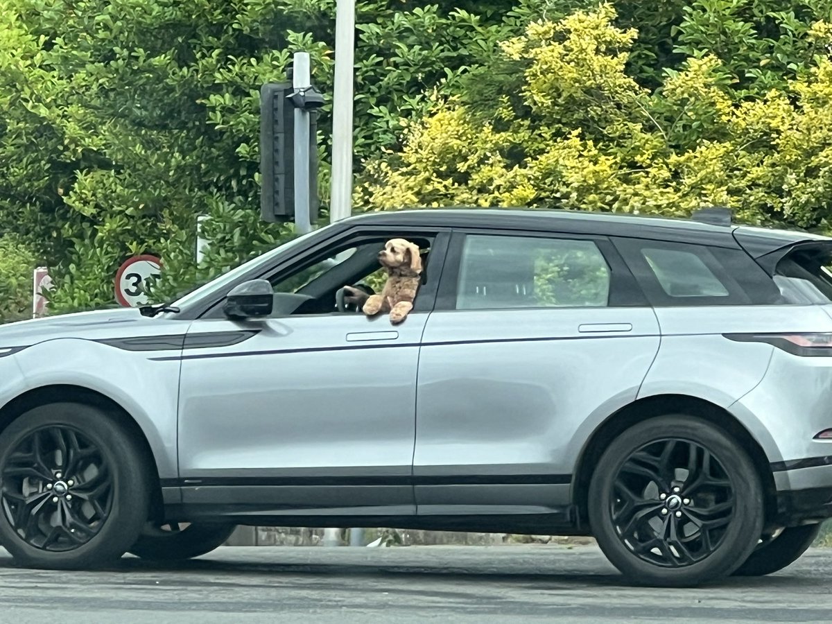 This Is Why We Can’t Have Nice Things tweet media