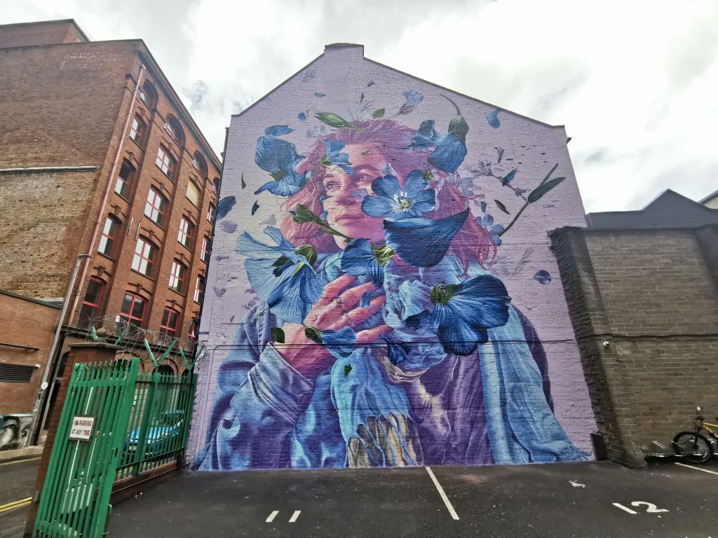 Take a look at the stunning #FlaxFlowerMural in person. Situated in James Street South in Belfast - a powerful reminder of the role flax and linen played in the city.