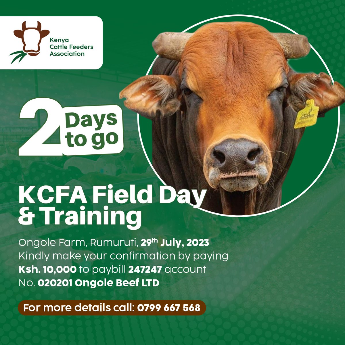 KenyaCattle tweet picture