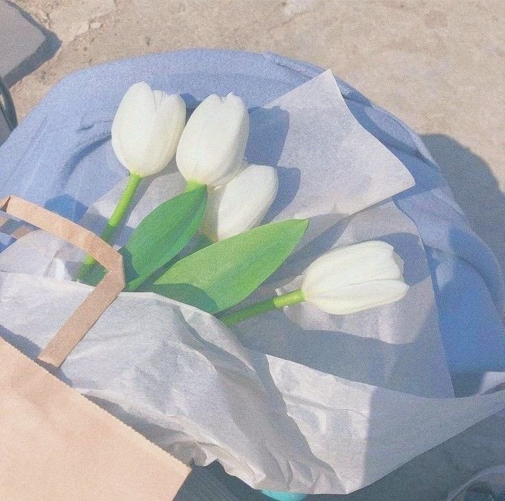 kjsdiorx's tweet photo. โใ my basket .แ ๐งบ ๐ โน . ห
๊ #kjssells
๊ #kjstrades
๊ #kjsthanks
๊ #mailsforkjs
๊ #kjsupdates https://t.co/Sv6P10vESE