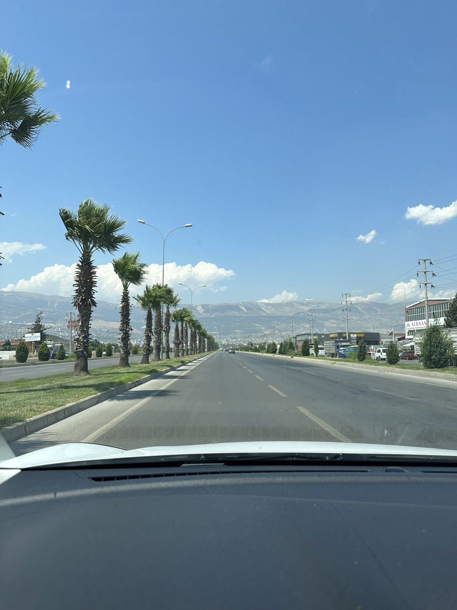 Neler yapıyor dostlarımız fotoğraflayalım bakalım