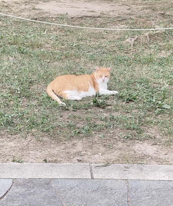 散歩 