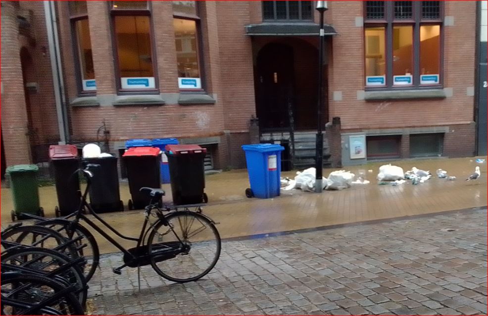 boebelsha's tweet photo. @gem_groningen Vanochtend... De meeuwen zijn de gemeente heel dankbaar! #Groningen #Akerkhof https://t.co/OA6s1K16vZ