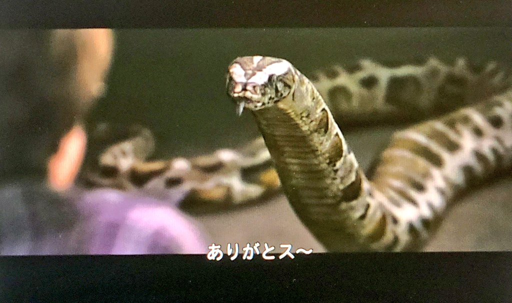 oyuma1234567's tweet photo. ハリーポッター久々に見てたら
 
字幕ヘビすぎてワロタ https://t.co/XSNOQqUzX9