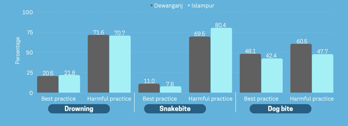 FlutNetz Project tweet media