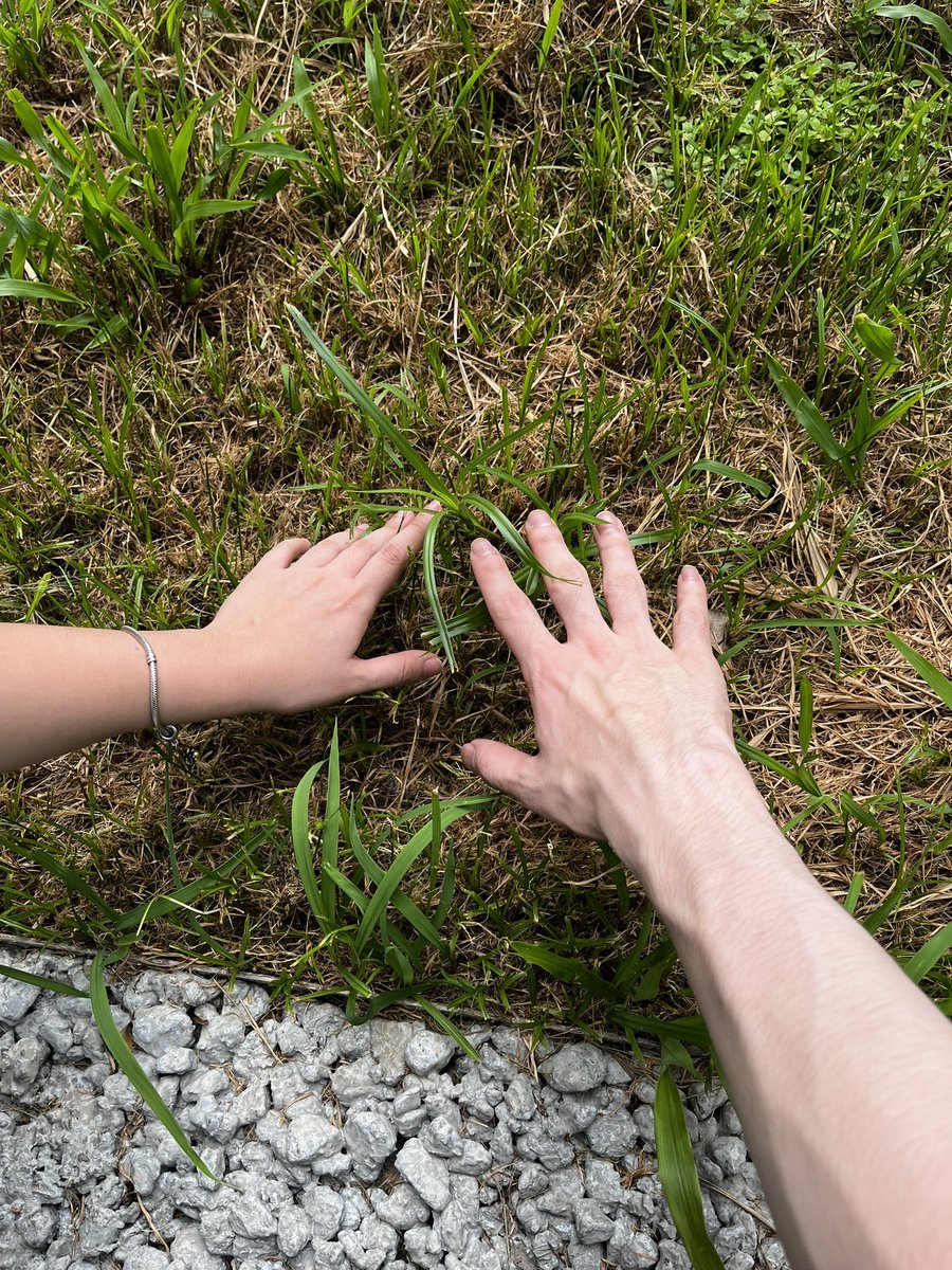 siraisi_kasuka's tweet photo. Vtubers touching grass /w @tinytonybean https://t.co/kJ67FY2Lkc