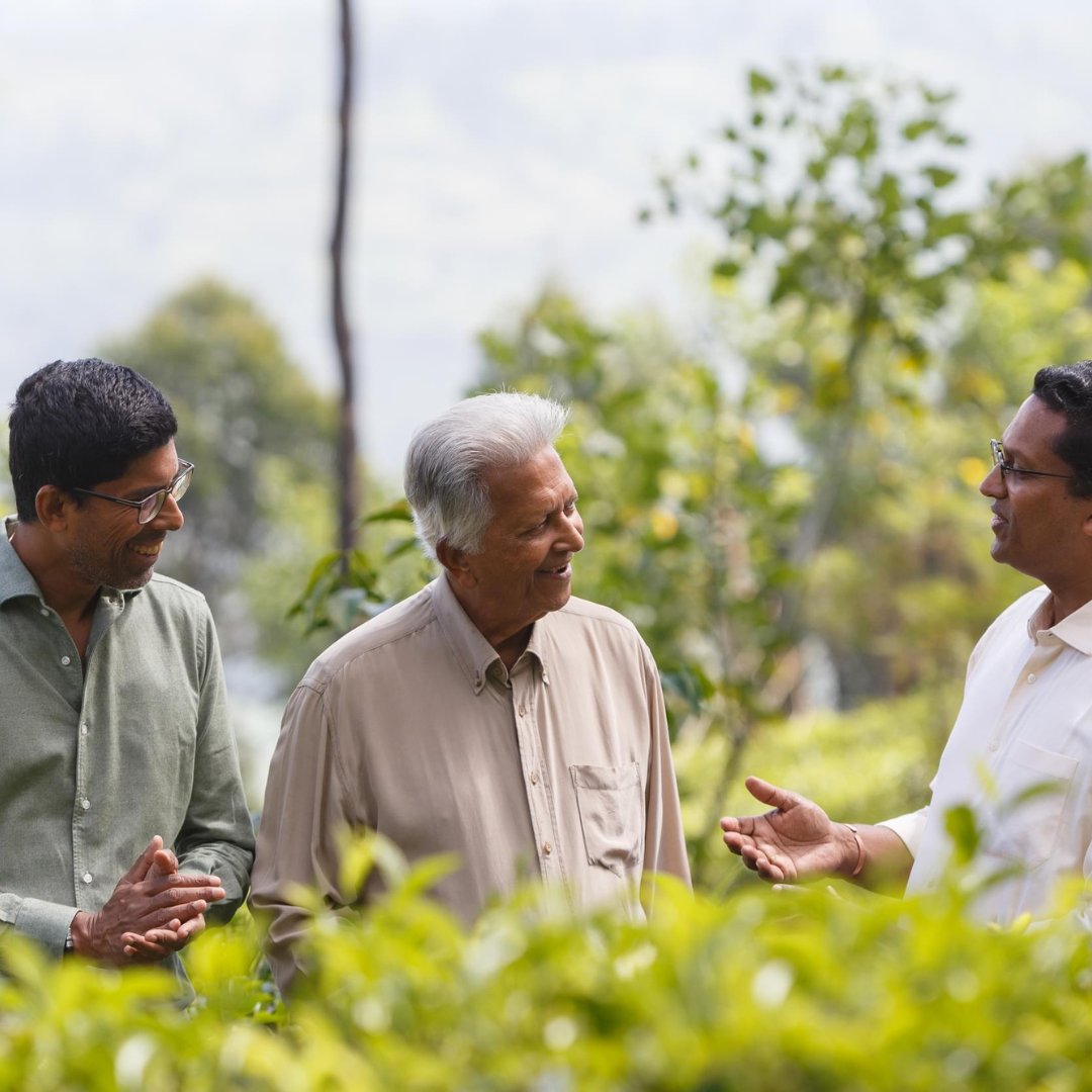 Resplendent Ceylon tweet media