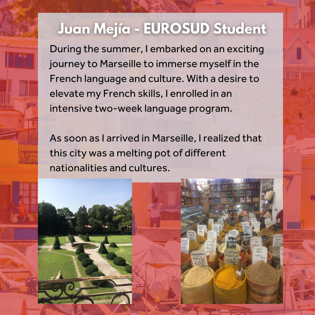 International Master in South European Studies tweet media