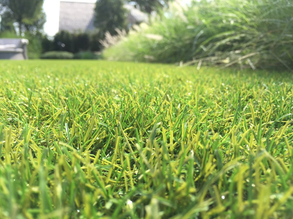 A great advantage of #ArtificialGrass is its minimal maintenance requirements. It does not require watering, mowing, or fertilizing like natural grass. However, occasional brushing or rinsing may be necessary to remove debris and maintain its appearance.

bit.ly/43O5oey