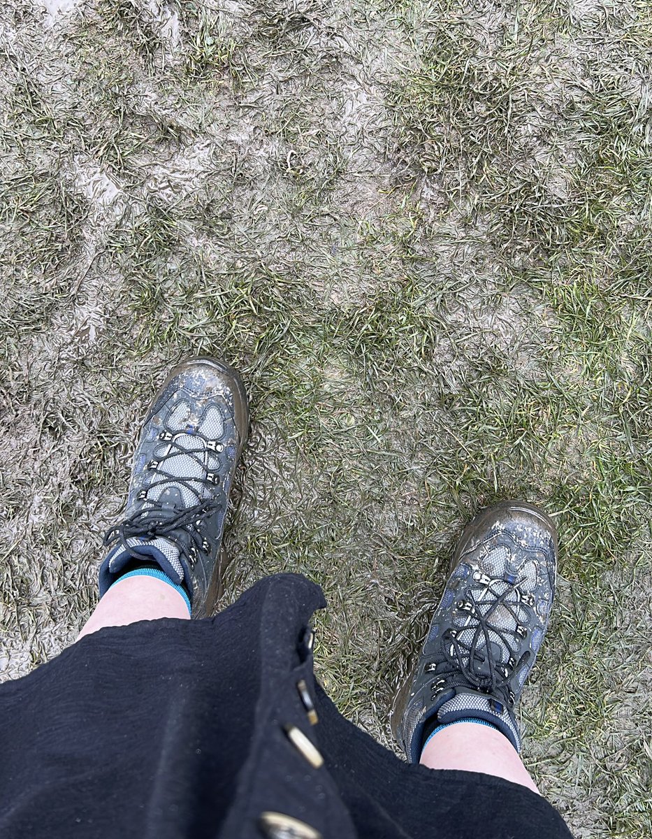 ⭐️Review Time⭐️
“I went to <a href="/tramlines/">Tramlines Festival</a> last weekend, I’d bought new walking boots after seeing the weather forecast so I ordered some Blis-Sox and Blis-Toes… after 3 days in walking boots I have no blisters… thank you for helping me enjoy the weekend pain &amp; blister free!🥰🥾👣”