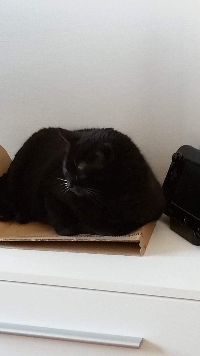 Sayumi 💎 tweet media