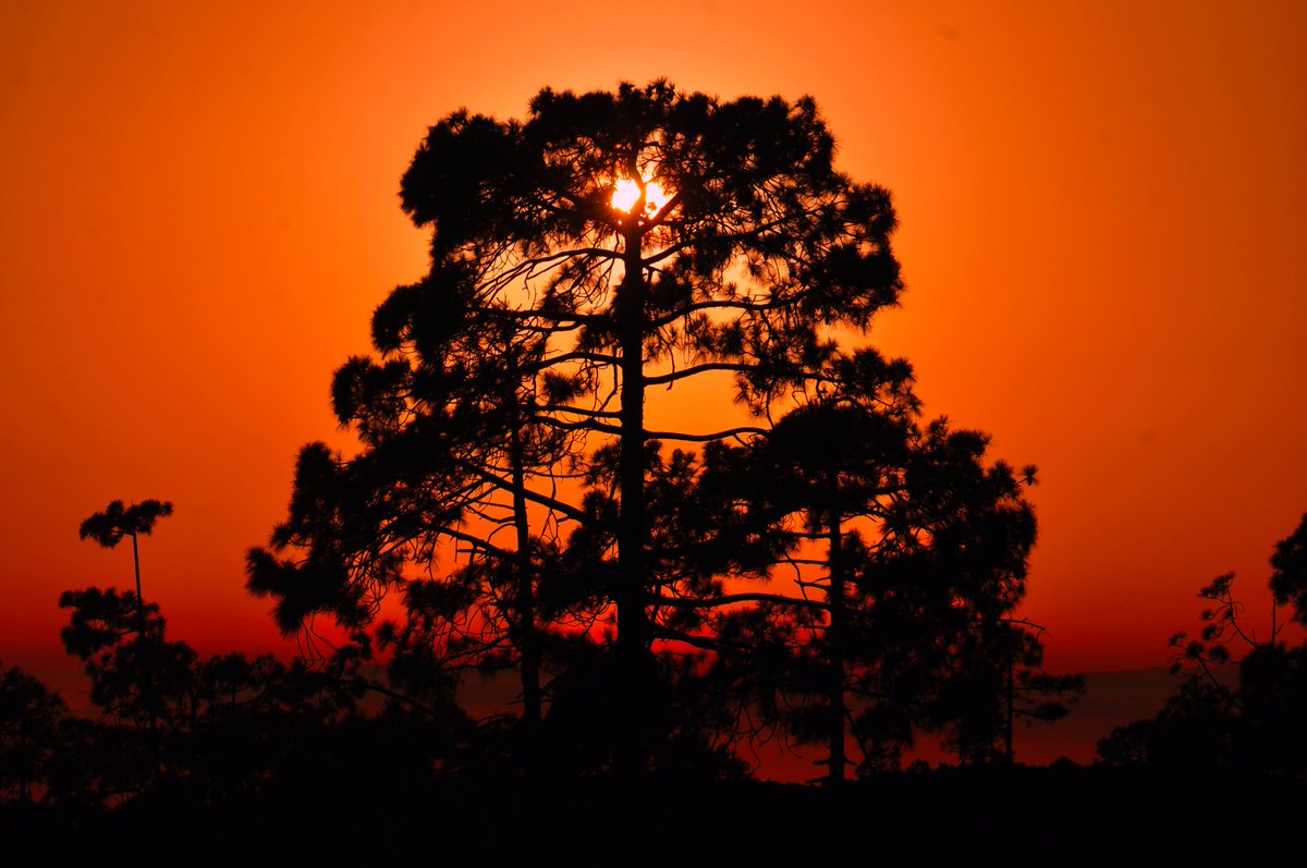 Wag2kP's tweet photo. another #stunning #sunsetclub https://t.co/rS6aLZH9XU