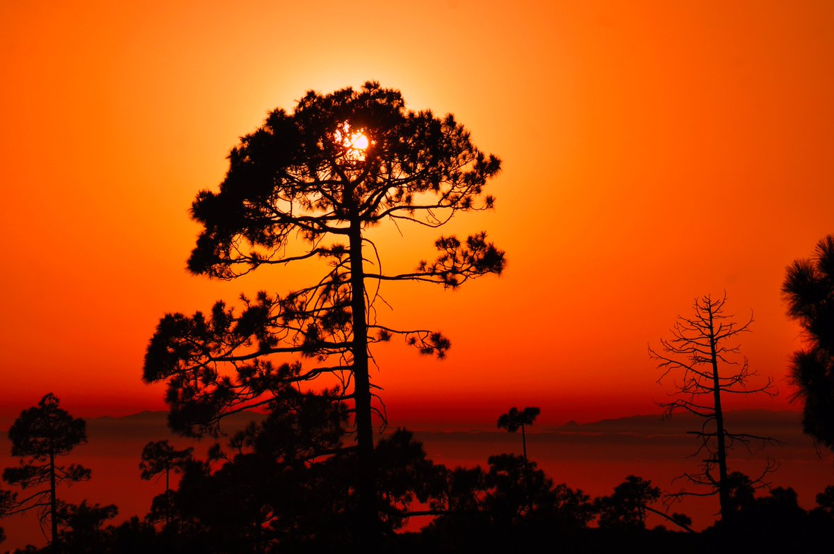 Wag2kP's tweet photo. another #stunning #sunsetclub https://t.co/rS6aLZH9XU