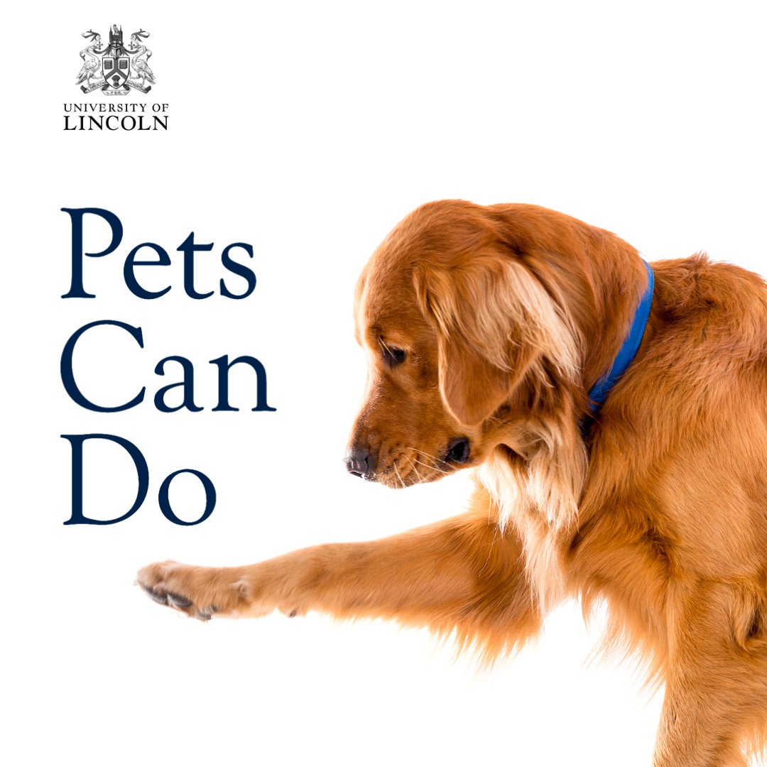 Do you have a pet? If you do, why not get involved with our research here at Lincoln?

We are looking for pets to take part in our pioneering and welfare-friendly research into animal
behaviour.

For more information and to sign up, please visit lncn.ac/petscando