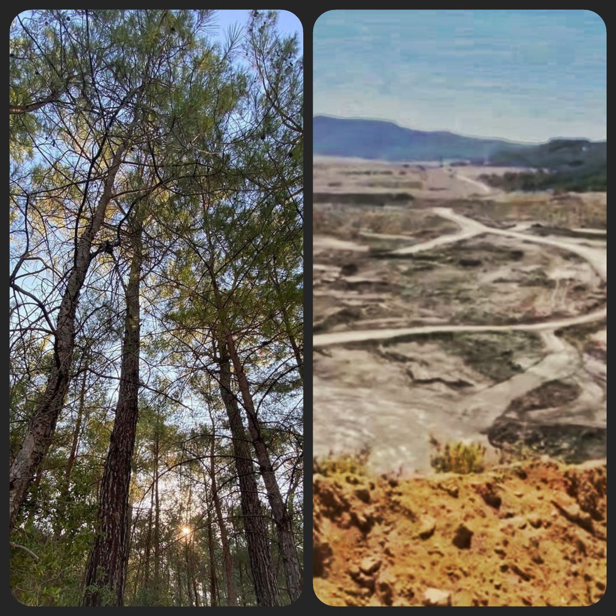 İnsan Hakları Örgütlerinden ✍️

Yargı süreçleri tamamlanmamış ve ÇED yapılmamış olan Akbelen’de, ağaç katliamına son verilmesi, barışçıl protesto hakkını kullananlara yönelik keyfi ve işkence boyutlarına ulaşan sınırsız şiddete ivedilikle son verilmelidir.
ihop.org.tr/akbelen-ormani…