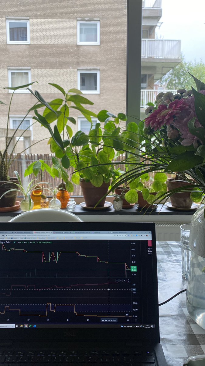 Entooka ⬡ tweet media