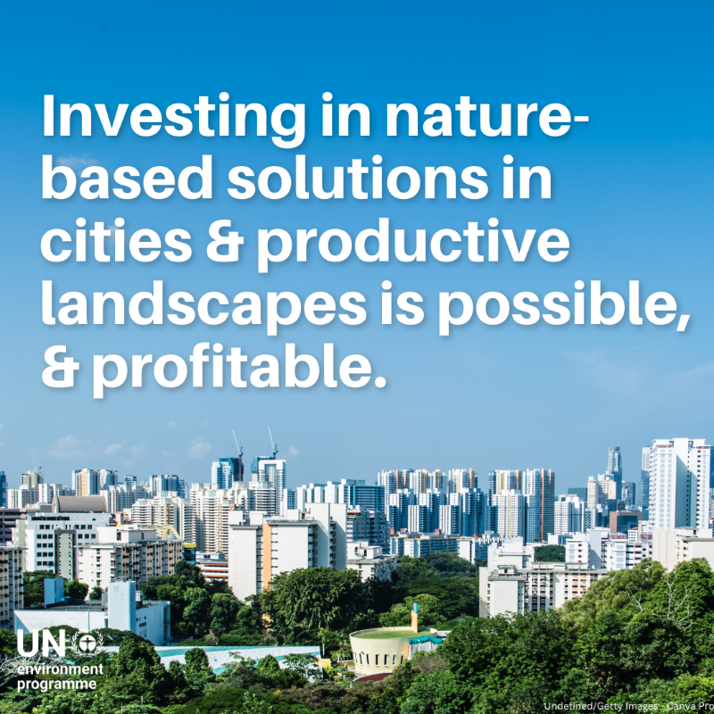 UNEP's tweet photo. Urgent call from UNEP chief @andersen_inger at #IPCC59: Time to act now to combat climate change.
The world is in trouble, but we can still change and must change - starting today.