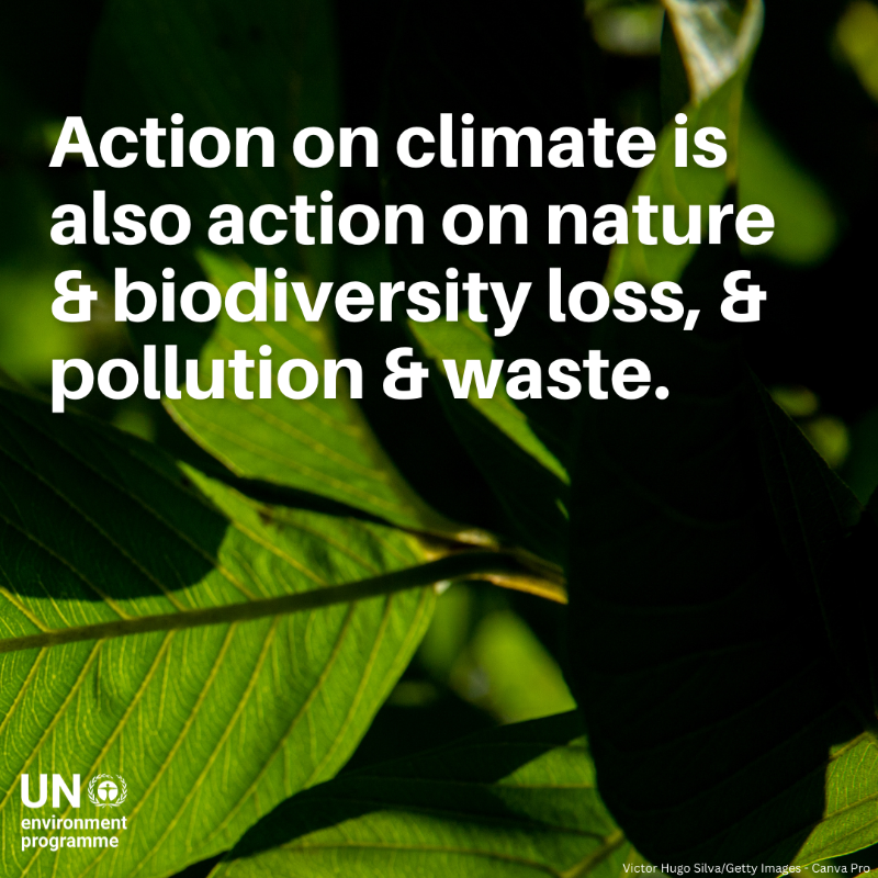 UNEP's tweet photo. Urgent call from UNEP chief @andersen_inger at #IPCC59: Time to act now to combat climate change.
The world is in trouble, but we can still change and must change - starting today.
