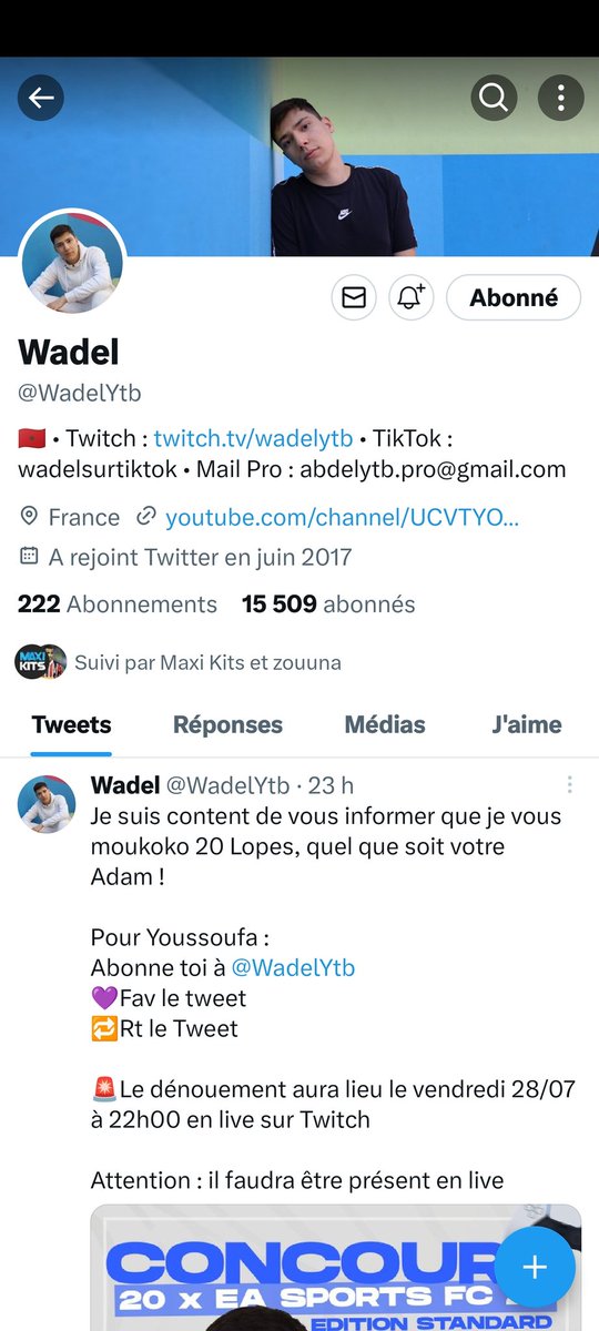 Zerty588's tweet photo. @WadelYtb T le boss https://t.co/tMaP61aVRI