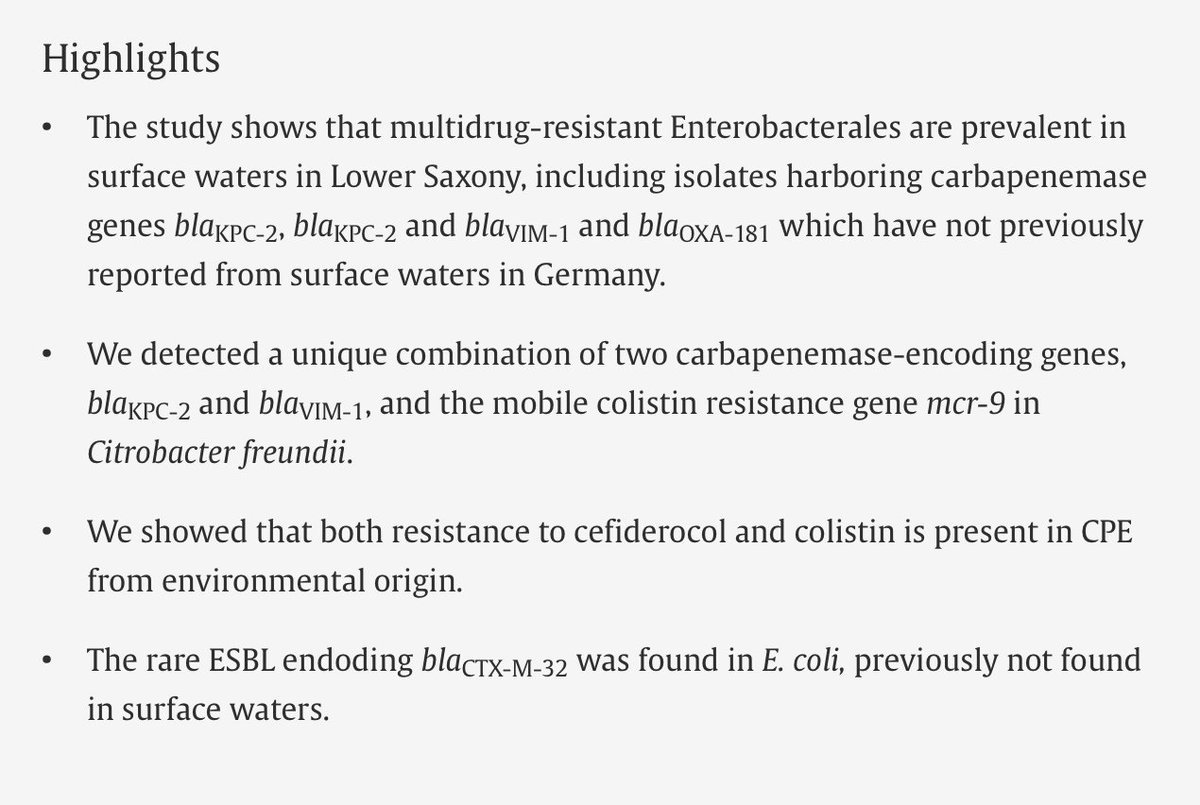 Cansu Cimen tweet media