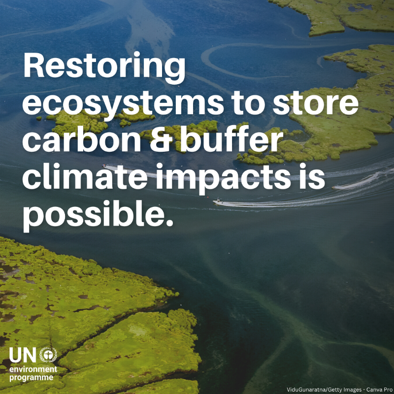 UNEP's tweet photo. Urgent call from UNEP chief @andersen_inger at #IPCC59: Time to act now to combat climate change.
The world is in trouble, but we can still change and must change - starting today.