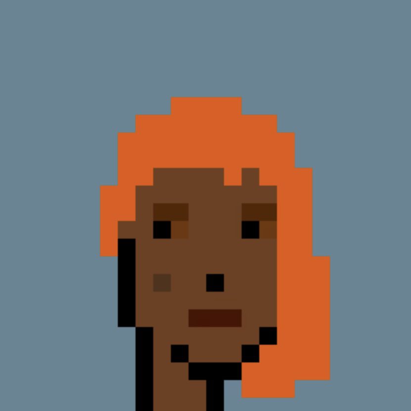 LikesTheArt's tweet photo. Today’s Punk of the Day
#9240
@punks2023 @cryptopunks
#punks2023 #punkoftheday #Punks #orangeside #toptrait https://t.co/qEXsHOQ8bK