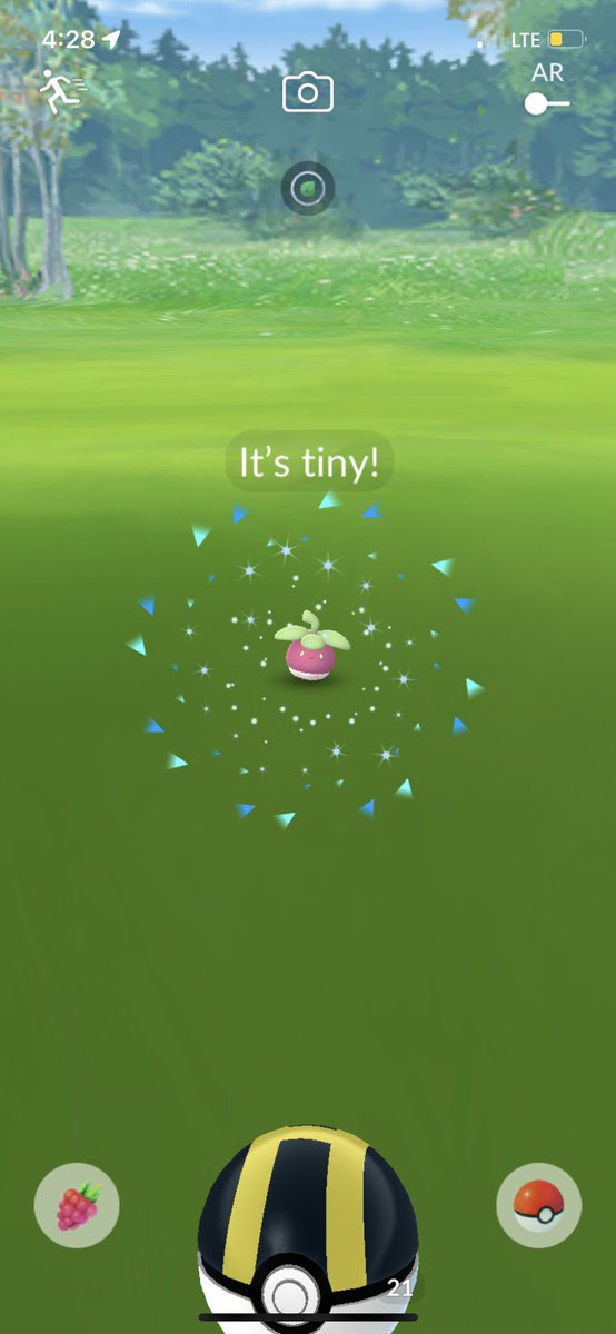 Ohfukno101's tweet photo. Tiny berry #pokemonGO #pokemonxxs #pogo #PokemonGOApp #GOcatch https://t.co/460l42bflz