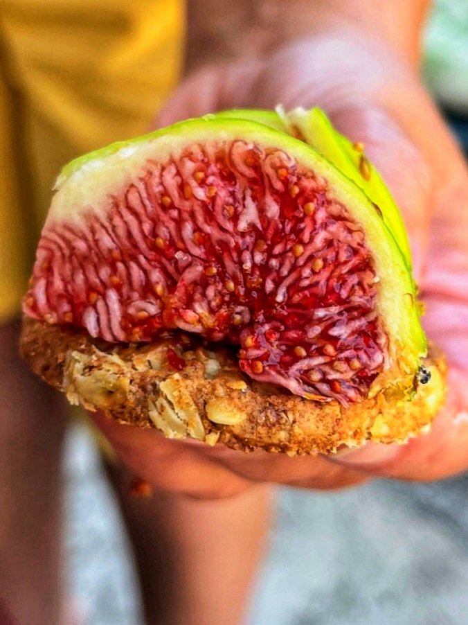 Strila2411's tweet photo. Radost življenja u Dalmaciji🥰
#joyoflife #dalmacija #truefood https://t.co/mlQpUpvrc5