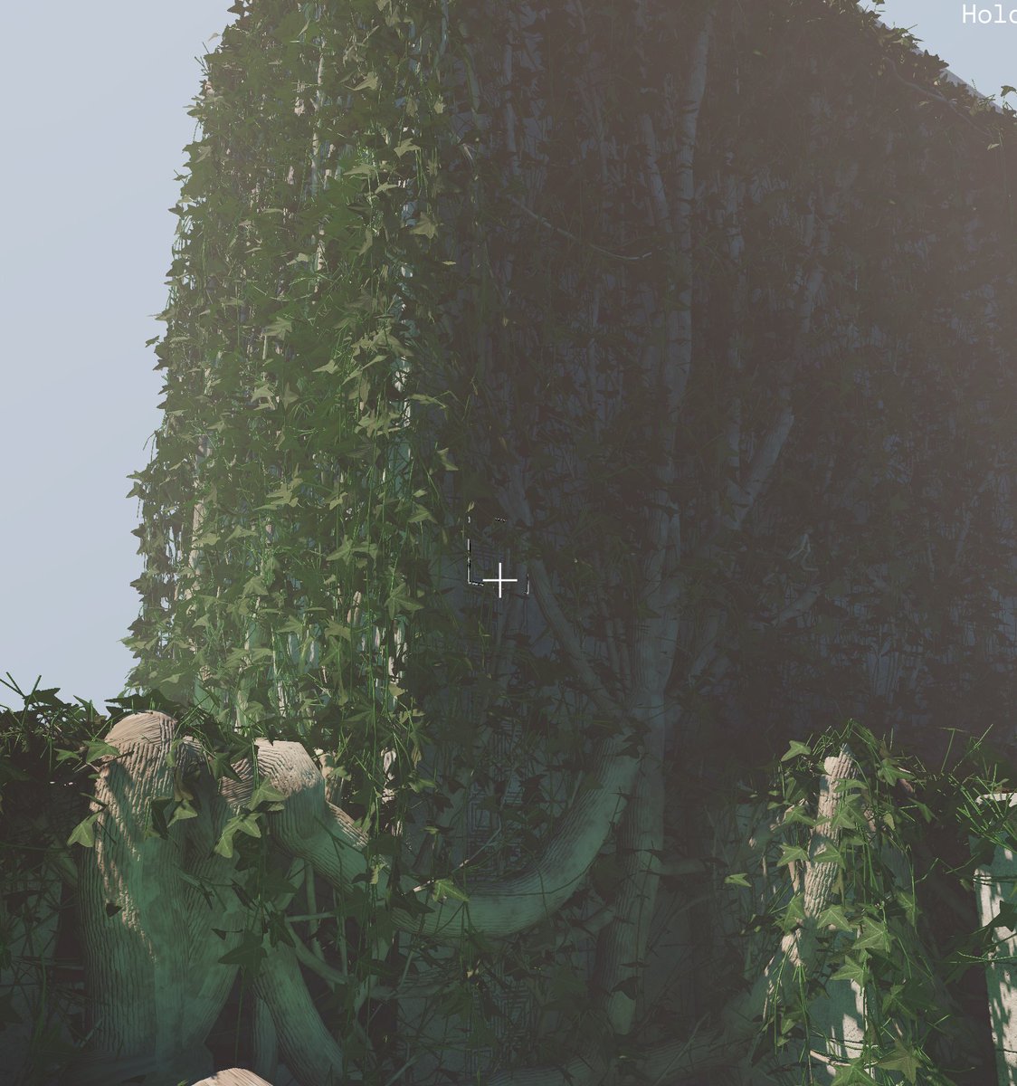 🍓Eli🌿making Idu, a plant sim🌟 tweet media