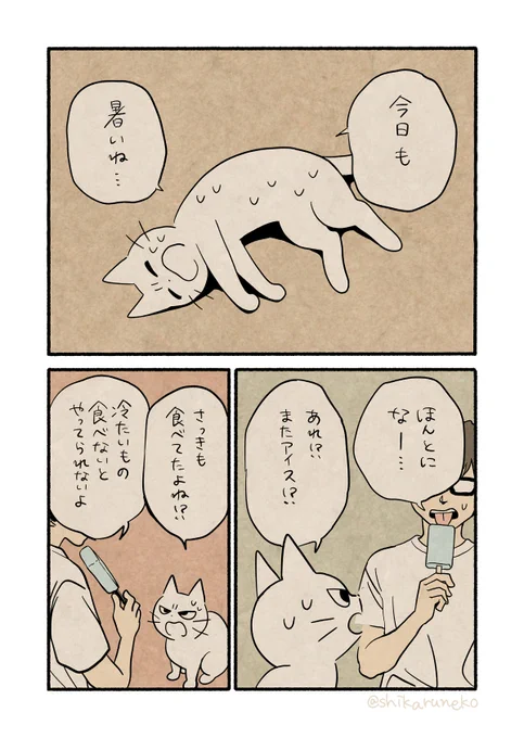 アイスを食べすぎる人と しかるねこ と ながめるねこ 