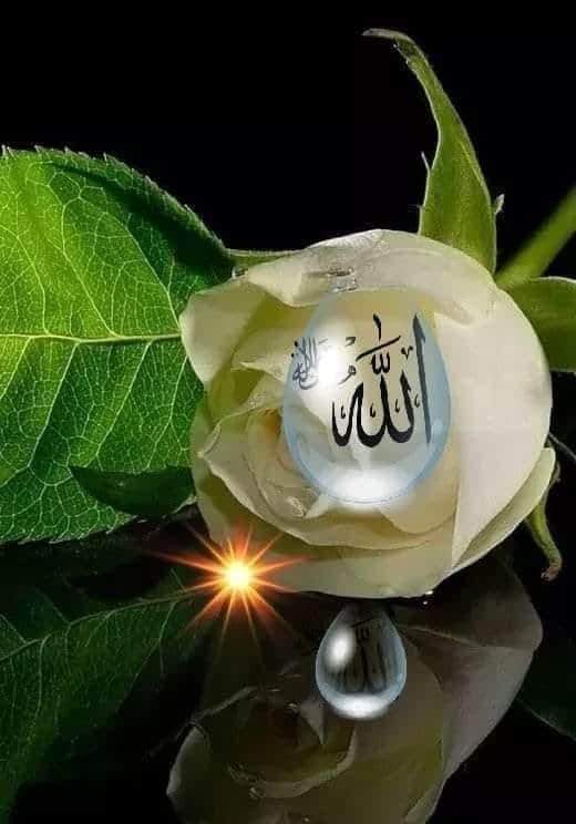 ali_fatih4M's tweet photo. #DUA
    #Gönül 
        #Gönülden süzülen,
              #Dilden dökülen samimi 
                 #Dua'lara..muhtaç...
                  #Müminin Dua'sı 
                  #Mümine şifadır.
            #Rabb'im şifanızı
 #Versin İnşallah!    
  #ÂMİÑÑ_ÂMİÑÑ

Selam ve dua ile https://t.co/yAlAlbWYV4