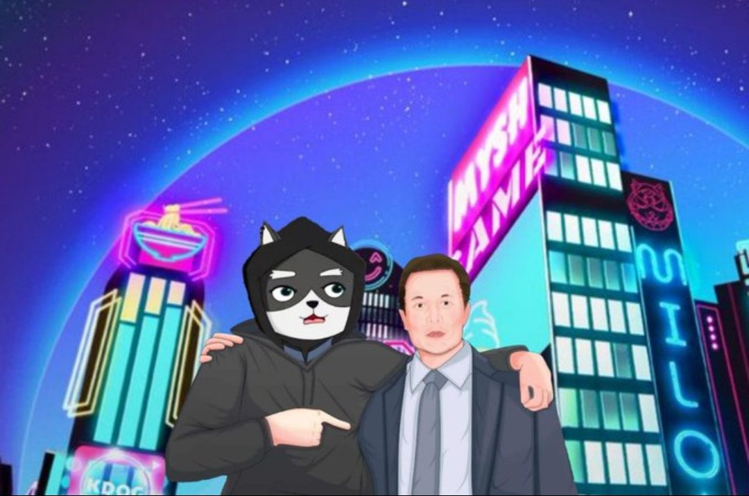 MiloInuHodler's tweet photo. @Masoud1173 @SalimianMoein @cb_doge @elonmusk @MiloInu greatly admires @elonmusk, his perseverance to make the world have a better present and future ❤️❤️❤️ The X is also very important to Milo Inu ❤️❤️❤️ https://t.co/wLak6FFbJ4