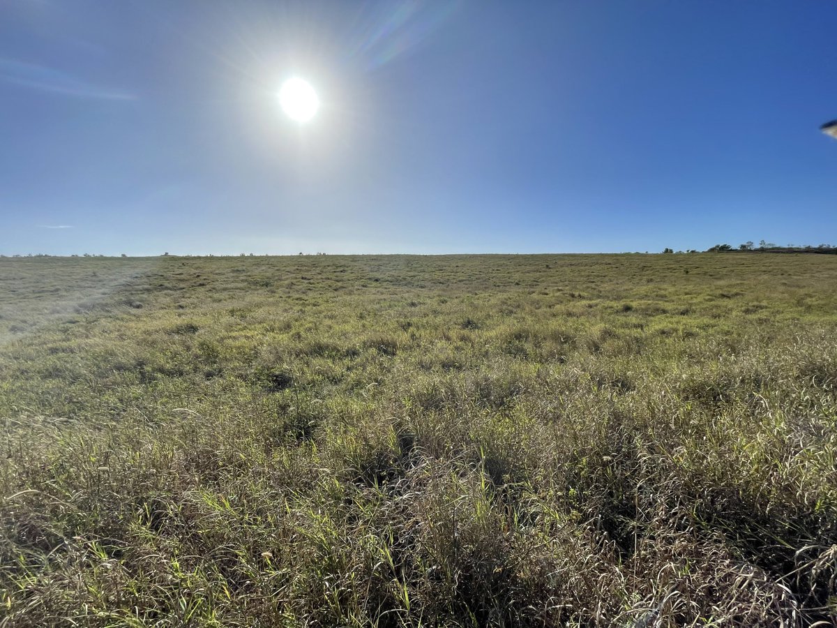 Prof (Weed Science) Bhagirath Chauhan tweet media