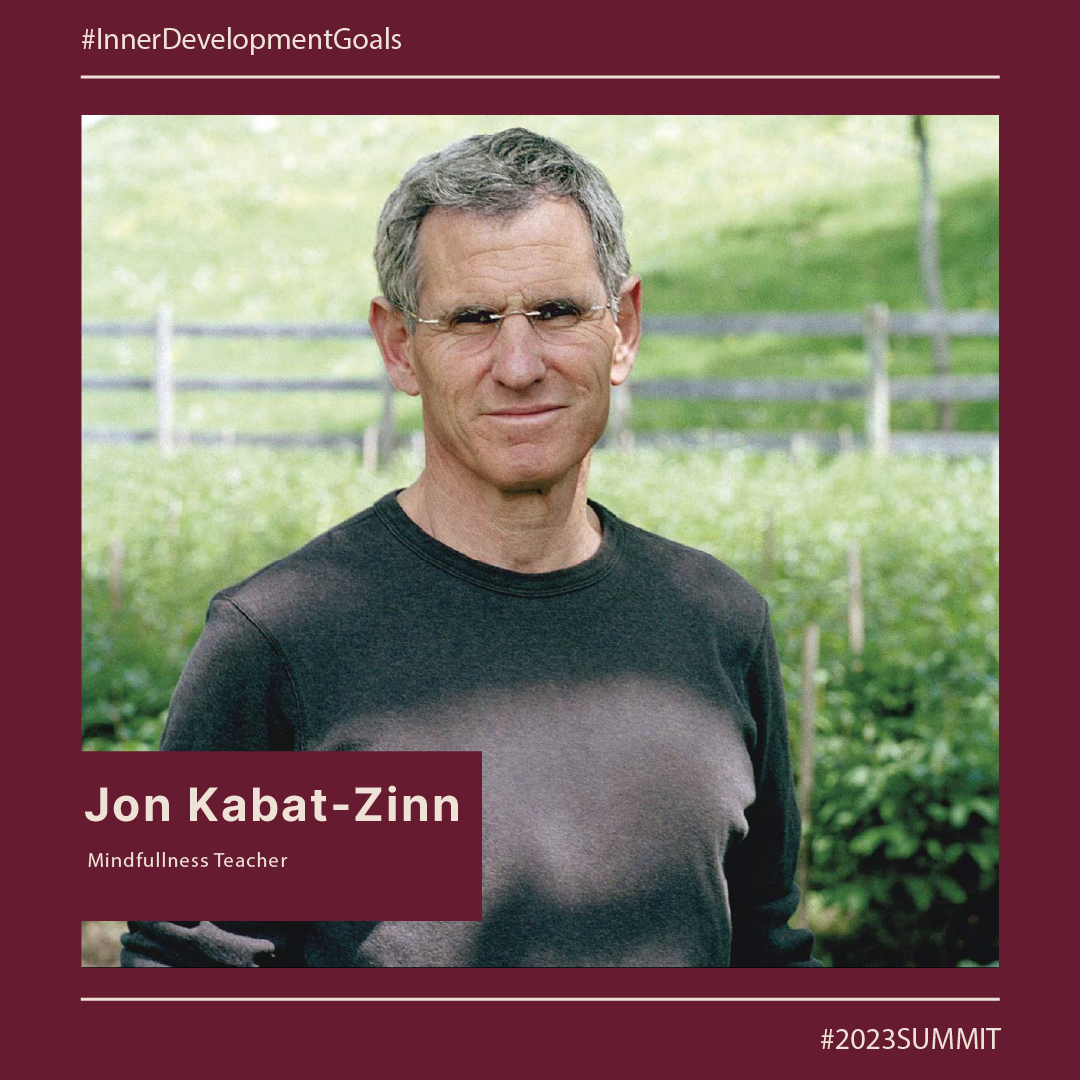 Inner Development Goals tweet media