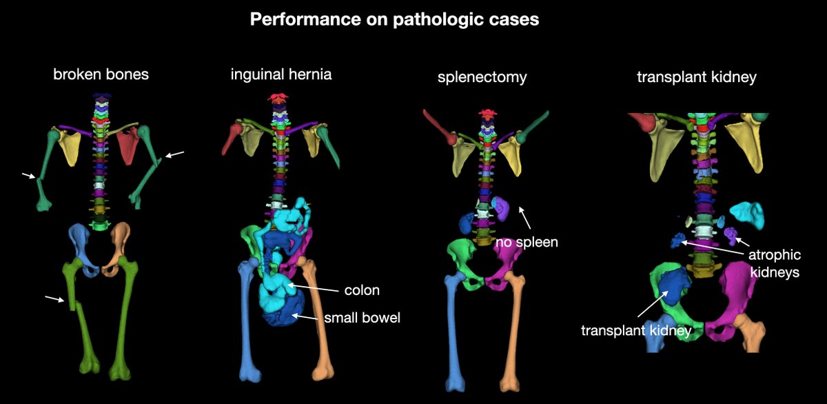 Jakob Wasserthal tweet media