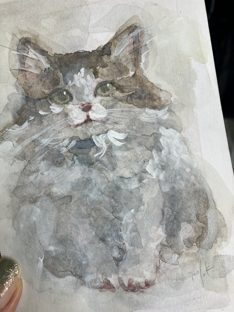 オーダーで描かせていただいたネコチャン