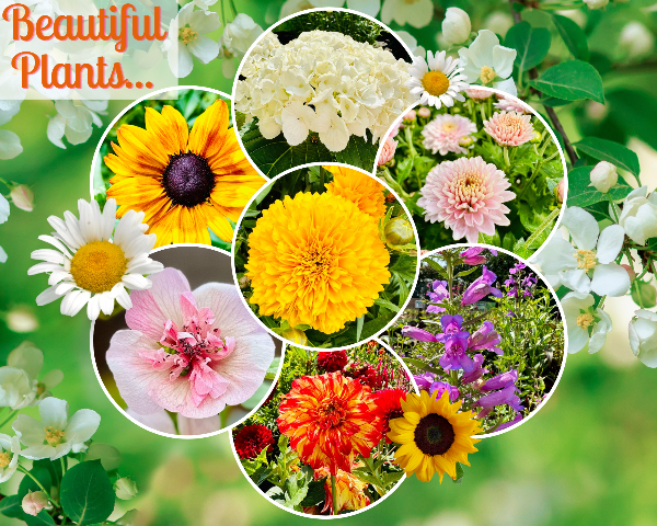 bow_gc's tweet photo. Rain or shine we have all you need for a cheerful visit this Summer 😃🌸🌻 - https://t.co/GO4MnSKtgp https://t.co/20LZT8fzGd