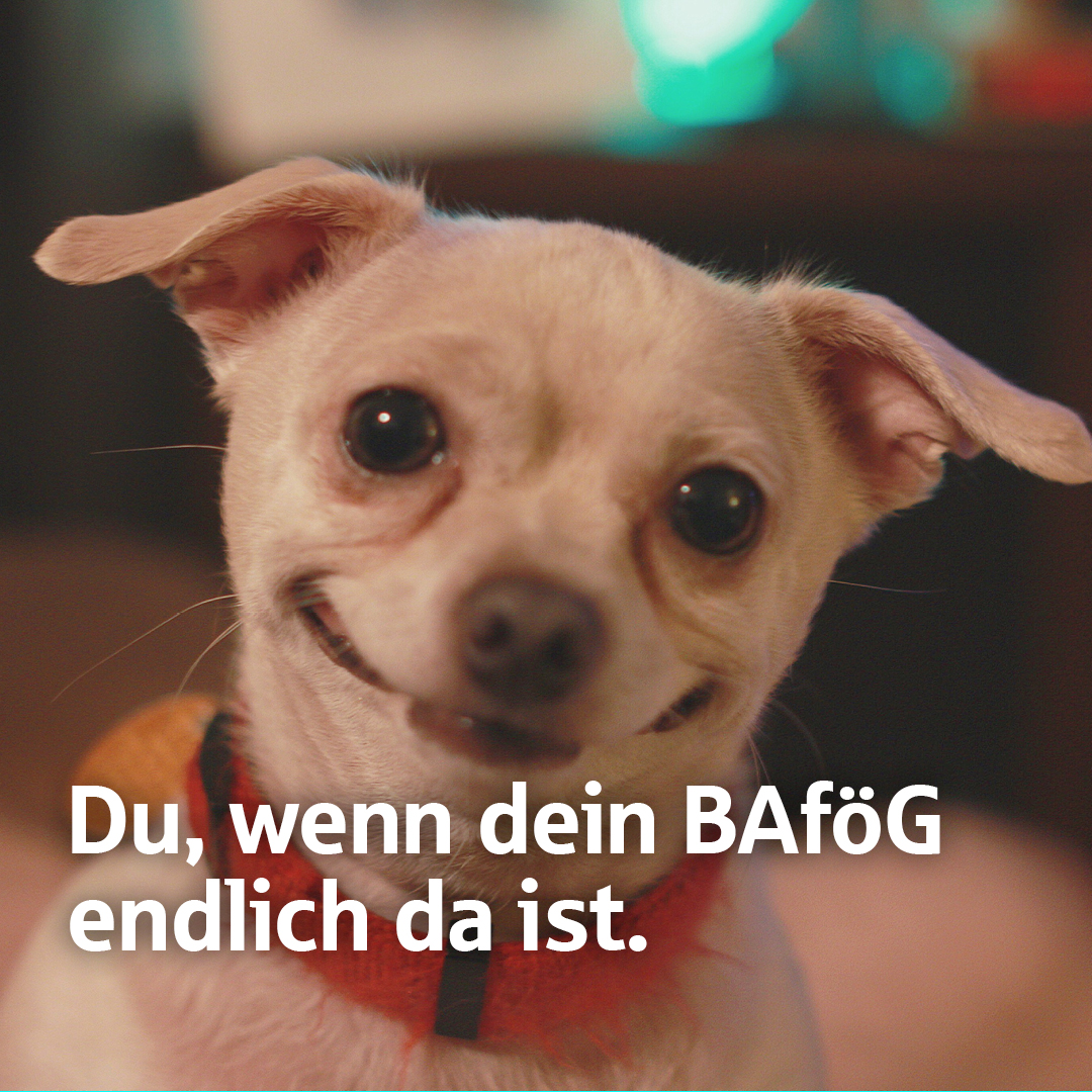 SSKRemscheid's tweet photo. Der Kontowecker für dein Girokonto. Sagt Bescheid, wenn du mehr drauf hast. Oder weniger. Jetzt aktivieren. https://t.co/r0gamLMwhI
#sparkasse #girokonto #kontowecker #konto #meinkontokanndas #sskremscheid https://t.co/niRsXMkFFl