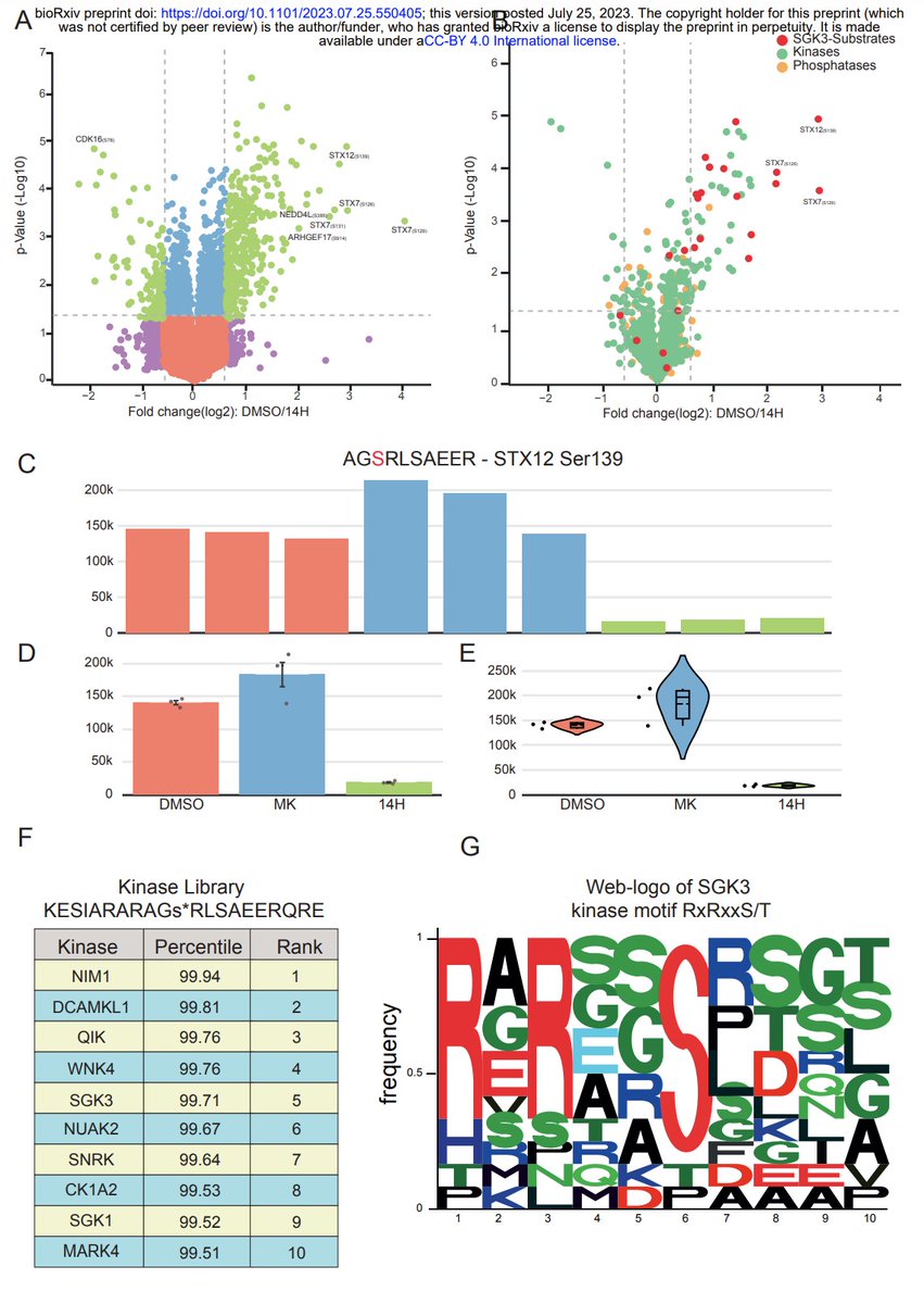 PastelBio's tweet photo. CURTAIN – A Unique Web-based tool for exploration and sharing of MS-based proteomics data | https://t.co/RP96nvcxE6 #proteomics https://t.co/ppMsDUPBh7