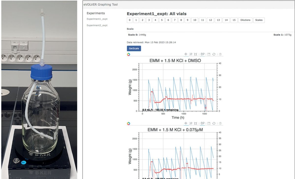 Long-term evolution of proliferating cells using the eVOLVER platform - collaboration from <a href="/KilachandCenter/">Kilachand Center, Boston University</a>  <a href="/RennesUniv/">Université de Rennes</a> #OpenBiology royalsocietypublishing.org/doi/10.1098/rs…