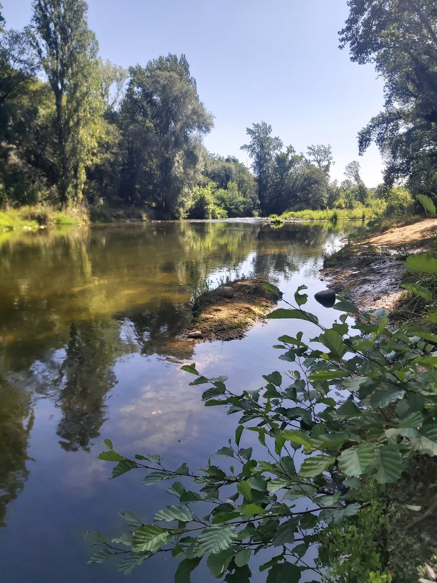 adria_compte's tweet photo. Les lleres dels rius són espais naturals ✅

No són piscines, ni barbacoes, ni parcs urbans, ni abocadors, ni zones d'esbarjo sense control per la fauna domèstica!  ❌

#ConservacióBiodiversitat https://t.co/jYzwcIZMdG