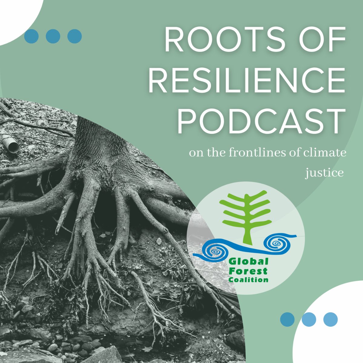 📷 Don't forget to check out episode 1 of our new podcast series, Roots of Resilience, where the experts discuss the problem with false solutions to the climate crisis.
my.mtr.cool/pbedrctanw
🔥Episode 2 coming up soon!
#RootsOfResilience
#ClimateJustice
#FalseSolutions