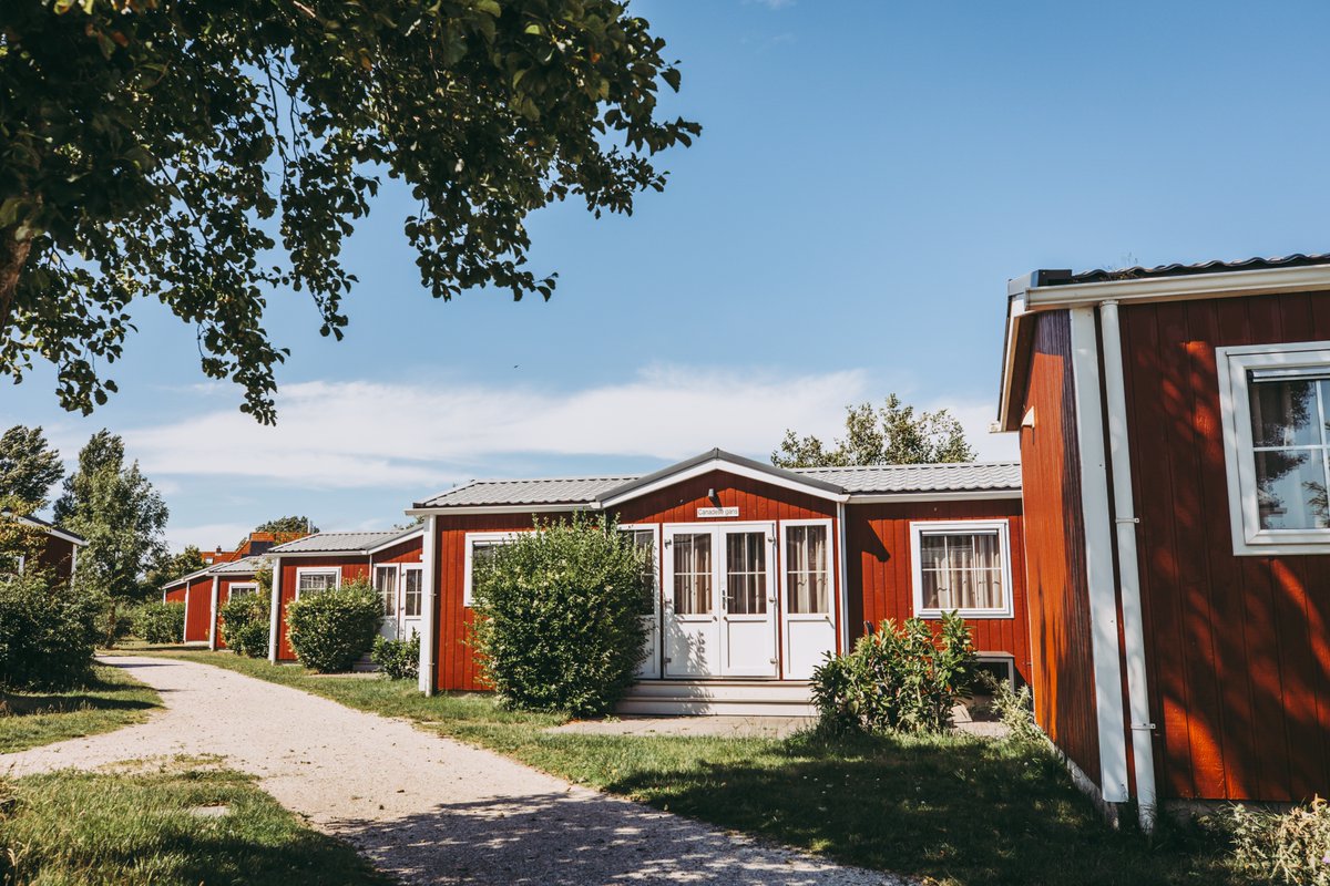 Kun jij je de naam van de accommodatie waarin je hebt verbleven nog herinneren? 🤩

#terschellingrecreatie #vakantiepark