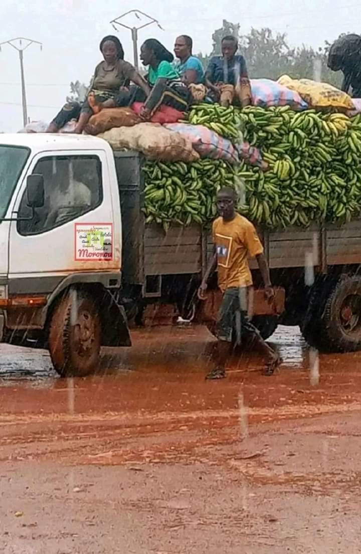 methodic_co's tweet image. 👉Voila mes héroïnes
👉Voila des femmes qu'on doit copier
Celles qui refusent la facilité et prennent le risque
👉Elle créent de la valeur et se refusent de vendre leur dignité
👉Elles préfèrent manger  à la pluie ("sueur") de leur front

Mentionnes-en une pour lui rendre hommagz